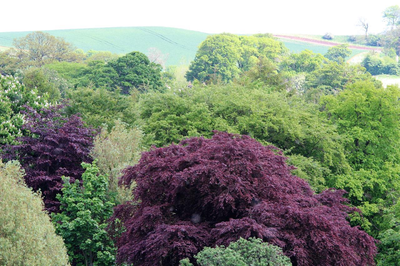 Redfoot Lea Bed And Breakfast Alnwick Exterior foto